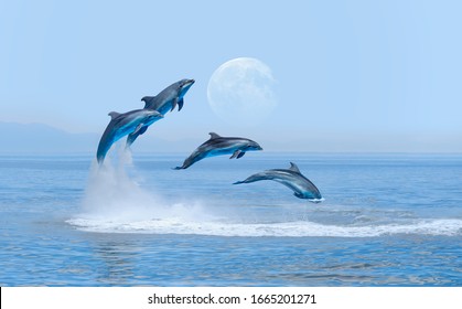 Group of dolphins jumping on the water with Full Moon