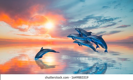 Fotos Imagenes Y Otros Productos Fotograficos De Stock Sobre Delfines Saltando Shutterstock