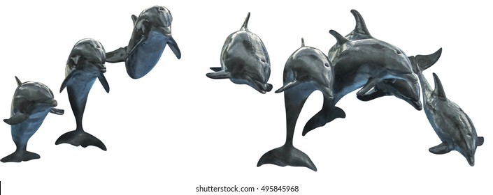 Group Of Dolphins While Jumping Together. Isolated On White Background.