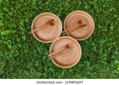 Group of dry biodegradable empty new bran plates and edible fork, knife and wheat bran. Perfect zero waste tableware for garden party. Flat lay view.