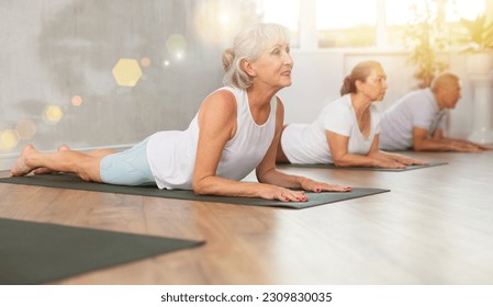 Group of elderly sports people perform pilates exercises on mat in fitness studio - Powered by Shutterstock