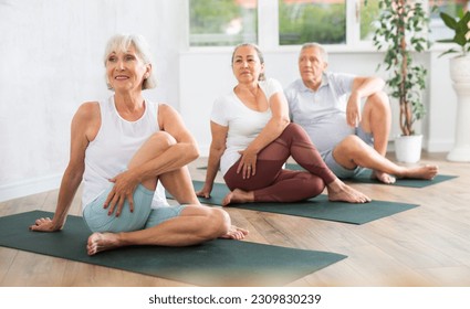 Group of elderly sports people perform pilates exercises on mat in fitness studio - Powered by Shutterstock