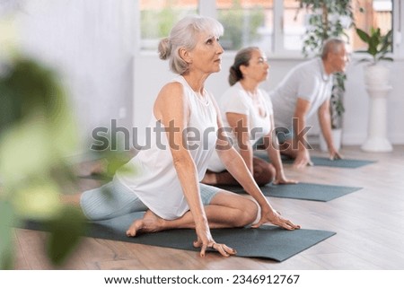Group of elderly sports people perform pilates exercises on mat in fitness studio