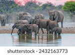 A group of elephant families go to the water