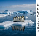 A group of emperor penguins stands together in a vast, icy landscape, their striking black and white plumage contrasting with the surrounding snow. 