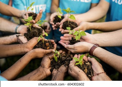 Group of environmental conservation people hands planting in aerial view - Shutterstock ID 604302602