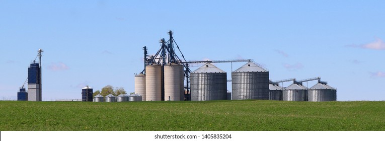 Group Of Farm Feed And Seed Storage Bins With Fresh Seeding Of Alfalfa