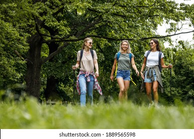 Group of female friends hiking in nature.They walking trough forest and joying in fresh air.	
 - Powered by Shutterstock