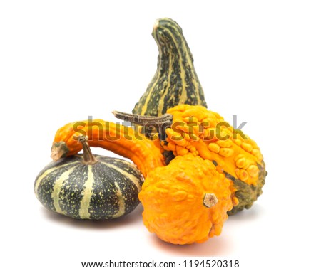 A Group of Five Different Gourds on a White Background