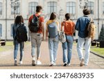 Group of five students with backpacks walking at university campus together, rear view of multiethnic young people going to classes, diverse college friends spending time outdoors after lessons