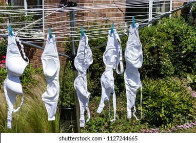 Group Of Five Woman's Clean White Bra's Hanging On A Rotary Washing Line, Drying In Sunshine. Co-ordinated By Blue Pegs. Summer's Day.