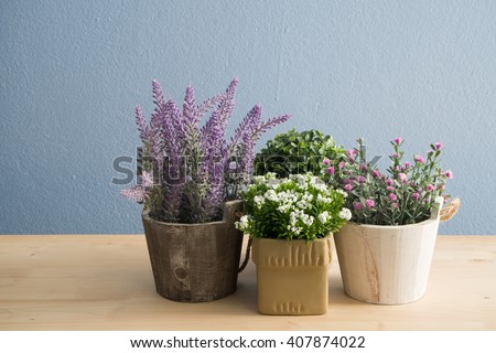 Group of flower pot on wood floor and blue concrete background.
