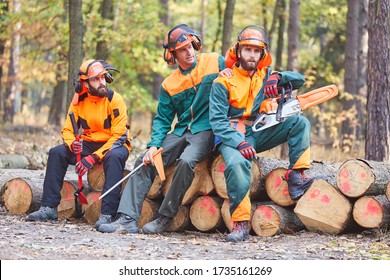 Group of foresters at break of forest work in the forest sits on felled tree trunks - Powered by Shutterstock