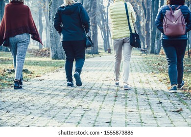 Group Of Four Older Women Is Walking Along The Alley In The Park - Generation Of Baby Boomers On A Walk