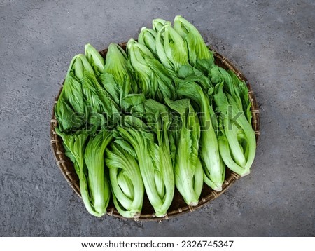Group of Fresh Chinese Mustard Greens or Vegetable Mustard (Brassica Juncea) on the Woven Bamboo Tray in the Cement Texture Background