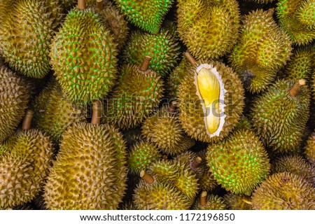 Group of fresh durians in the durian market.