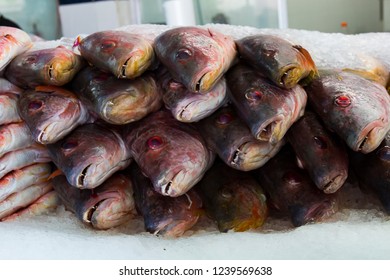 A Group Of Fresh Fish Piled On Ice For Sale In A Fish Market In Tijuana, Mexico.