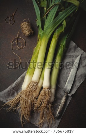 Similar – Image, Stock Photo bunch of fresh young garlic