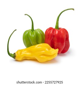 Group fresh red  green   yellow scorpion chili peppers  isolated white background