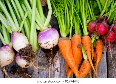 A Group Of Fresh, Root Vegetables.