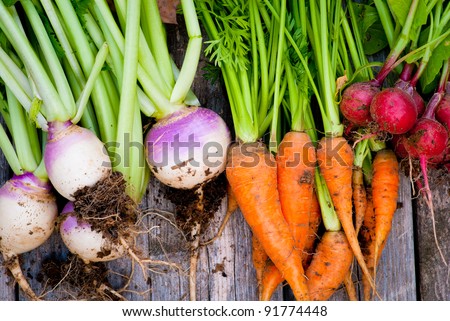 A group of fresh, root vegetables.