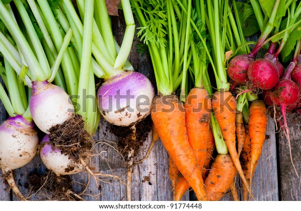 A group of fresh, root\
vegetables.