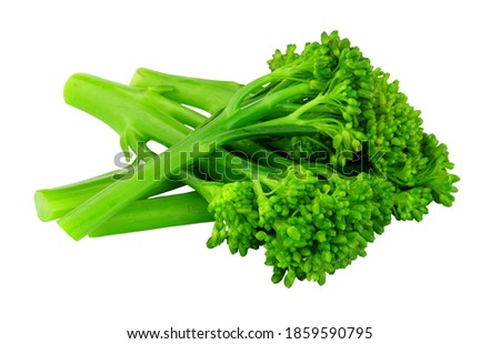 Group of fresh steamed tenderstem broccoli isolated on a white background