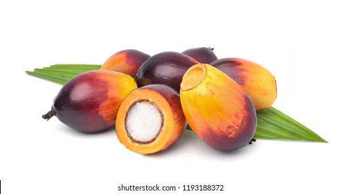 Group Of Freshly Oil Palm Seed And Cut In Half With Green Leaf Isolated On White Background.