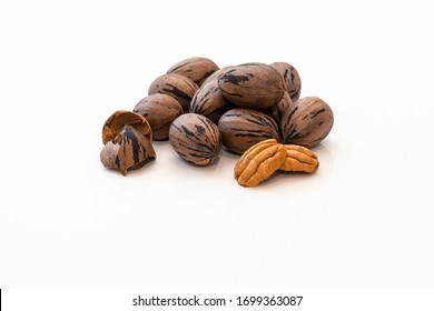 A group of freshly picked pecan nuts (Carya illinoinensis), some still in their pretty brown and black pods. white background