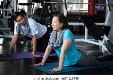 Group Of Friend Asian Senior Stretching Exercise At Yoga Gym.  Elderly Healthy Lifestyle.