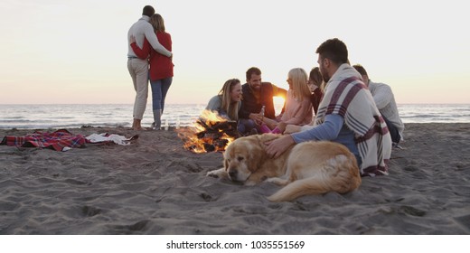 Group Of Friends With Dog Relaxing Around Bonfire On The Beach At Sunset