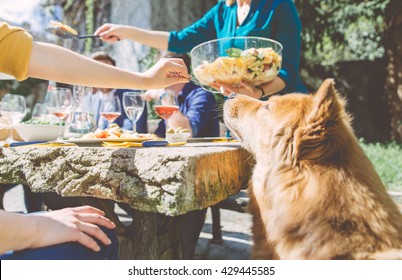 Group Of Friends Eating Outdoor. Sitting Outside And Enjoying Food. Woman Feeding Her Dog