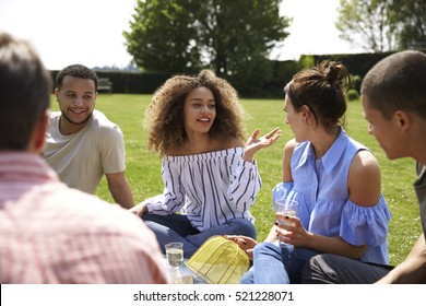 Group Of Friends Having A Picnic, Close Up, Selective Focus