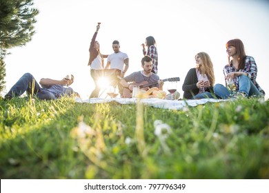 Group Of Friends Having Pic-nic In A Park On A Sunny Day - People Hanging Out Having Fun While Grilling And Relaxing