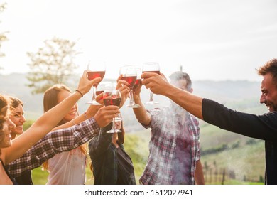 Group of friends making a toast during a barbecue in the country