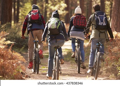 Group Of Friends On Bikes In A Forest, Back View Close Up