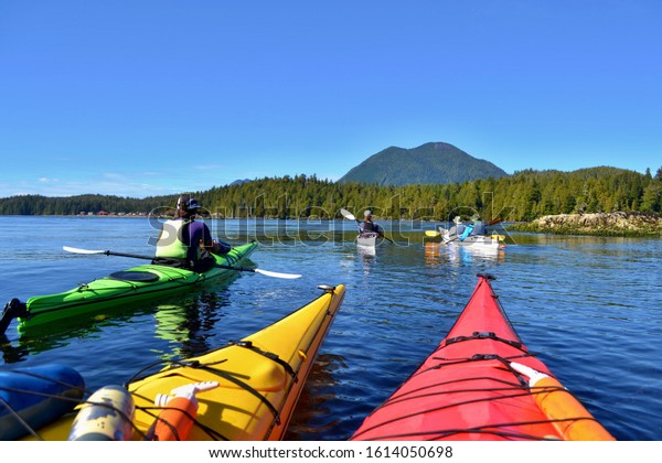 Group of friends on sea kayak in\
Pacific Ocean near Vancouver Island. Colorful kayaks, trees on the\
island, man with west, hat and paddle. Blue sky.\
