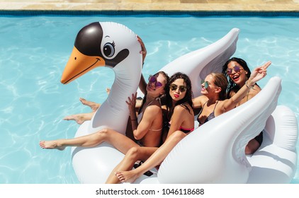 Group of friends on vacation sitting together on an inflatable swan in swimming pool. Multi-ethnic women friends enjoying on a inflatable white swan in pool.