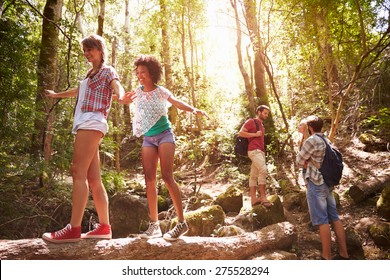 Group Of Friends On Walk Balancing On Tree Trunk In Forest - Shutterstock ID 275528294