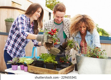 Group Of Friends Planting Rooftop Garden Together