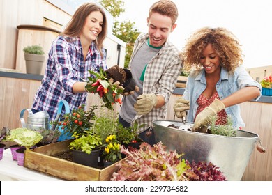 Group Of Friends Planting Rooftop Garden Together