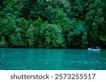 Group of friends rafting on the kali river in the forest