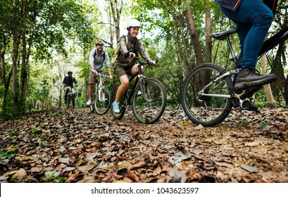 Group Of Friends Ride Mountain Bike In The Forest Together