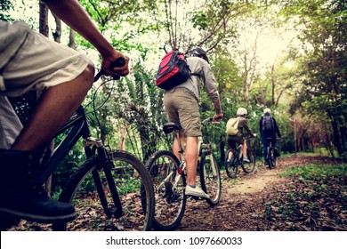 Group Of Friends Ride Mountain Bike In The Forest Together