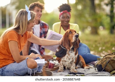 Group Of Friends Studying Outside With A Dog