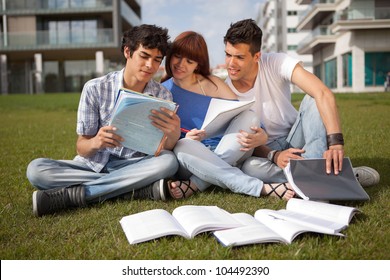 Group Of Friends Studying At The Park