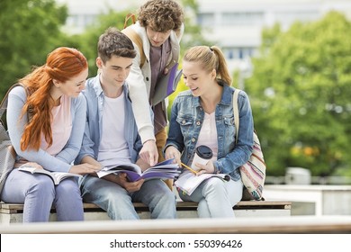 Group of friends studying together at university campus