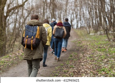 Group Of Friends Walking With Backpacks In Spring Forest From Back. Backpackers Hiking In The Woods. Adventure, Travel, Tourism, Active Rest, Hike And People Friendship Concept.