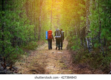 Group Of Friends Walking With Backpacks In Sunset From Back. Adventure, Travel, Tourism, Hike And People Friendship Concept. Sports Activity