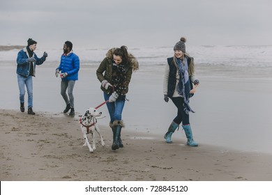 A Group Of Friends Walking A Dog Along A Winter Beach.